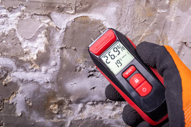 Best Industrial Mold Remediation in Potomac Mills, VA